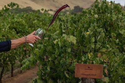 Китай начал расследование в отношении импортируемых из Австралии вин