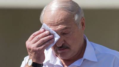 Запланированный визит Лукашенко в Ригу «снят с повестки дня»