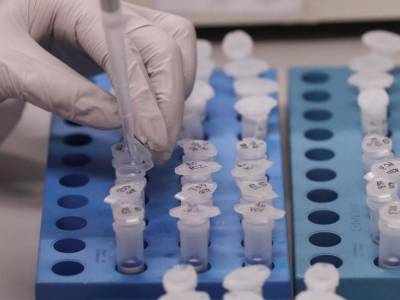 В Индонезии ученые обнаружили новый «быстрый» штамм коронавируса