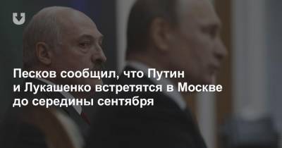 Песков сообщил, что Путин и Лукашенко встретятся в Москве до середины сентября