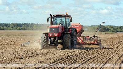Витебская область начнет массовый сев озимых зерновых с 3 сентября