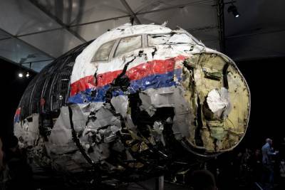 В Нидерландах рассматривают российские материалы по крушению МН17