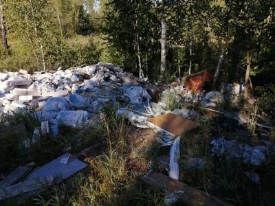 Пять тысяч кубометров опасного мусора обнаружено в районе Орловских двориков