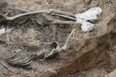 Житель Дагестана нашёл в своем дворе древние кувшины и скелеты