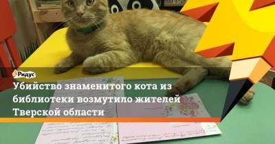 Убийство знаменитого кота из библиотеки возмутило жителей Тверской области