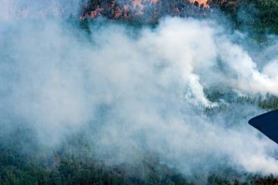 Минприроды запустило онлайн-карту борьбы с лесными пожарами