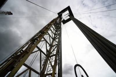 Минэнерго и Роснефти до 25 сентября проработают вопрос о восстановлении добычи на Сахалине