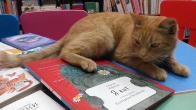 В Тверской области застрелили знаменитого кота-библиотекаря