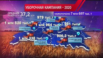В Беларуси осталось убрать менее 6% площадей зерновых