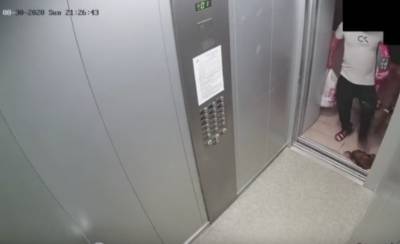В Екатеринбурге мужчина запинал собаку в лифте. Полиция начала проверку