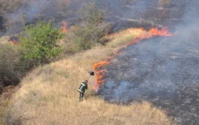 В Николаевской области масштабный пожар