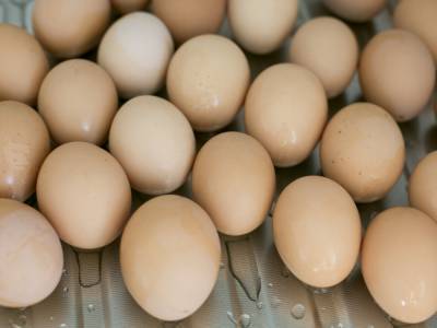 До конца года подорожание куриных яиц будет незначительным – эксперт
