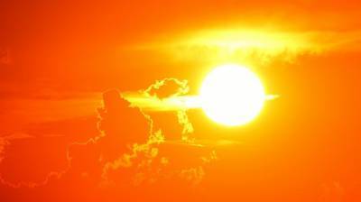 Жителей Воронежской области предупредили об усилении жары до +36 градусов в День знаний