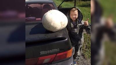 Гигантского размера грибы выросли на Урале