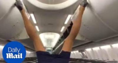 Вверх ногами и на каблуках: крутой трюк американской стюардессы переполошил Сеть