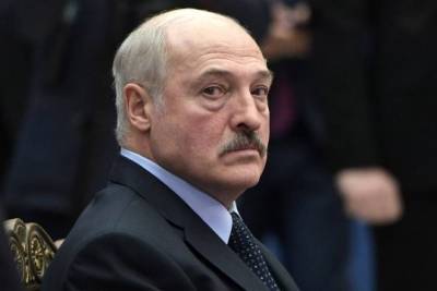 Прибалтийские страны запретили въезд Лукашенко и 30 ключевым белорусским чиновникам