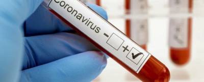 У двух членов новгородского правительства подтвердили коронавирус
