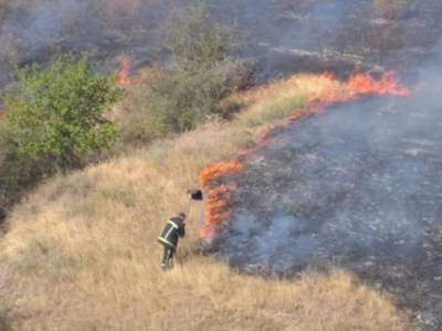 В Николаевской области вспыхнул крупный пожар: огнем охвачено 23 гектара