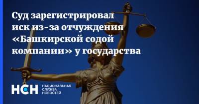 Суд зарегистрировал иск из-за отчуждения «Башкирской содой компании» у государства