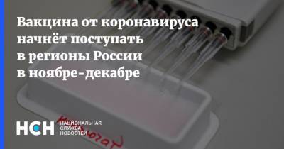Вакцина от коронавируса начнёт поступать в регионы России в ноябре-декабре