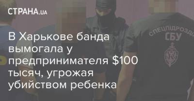 В Харькове банда вымогала у предпринимателя $100 тысяч, угрожая убийством ребенка