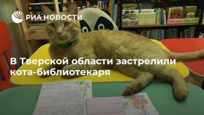 В Тверской области застрелили кота-библиотекаря