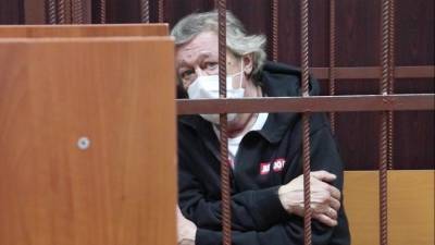«Кобец» и «Добросвинский»: Ефремов и адвокат потерпевших обменялись колкостями в суде
