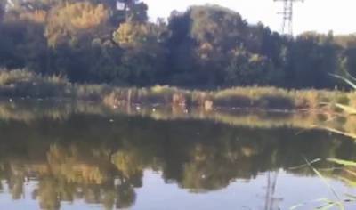 В озере Днепра промышленные отходы уничтожили все живое: видео катастрофы