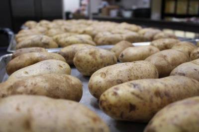 Как правильно заложить картофель на хранение: подготовка, условия и температура