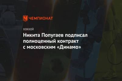 Никита Попугаев подписал полноценный контракт с московским Динамо