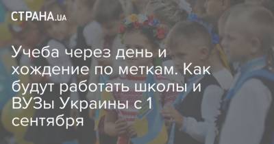 Учеба через день и хождение по меткам. Как будут работать школы и ВУЗы Украины с 1 сентября