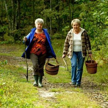 В Тотемском районе пропали две пенсионерки