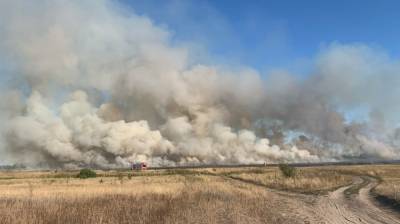 Крупный пожар случился вблизи посёлка под Воронежем