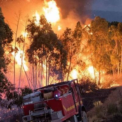 Ситуация с сильным лесным пожаром в испанском муниципалитете Альмонастер-ла-Реаль стабилизировалась
