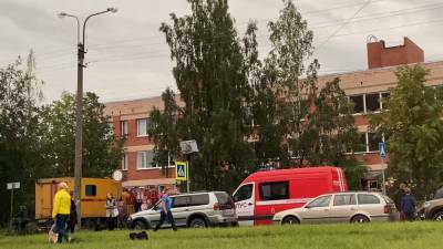 Детей эвакуировали из-за задымления в школе под Петербургом.