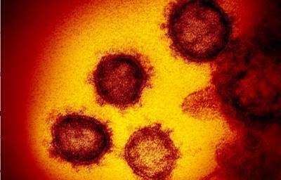 «Лучше болеть, чем умирать»: Эпидемиолог оценил опасность нового штамма COVID-19