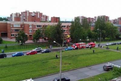 Из школы в Петергофе эвакуировали детей из-за задымления