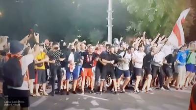 Стрельников назвал протесты в Белоруссии несамостоятельными