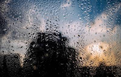 Петербуржцам пообещали дожди в первый день осени