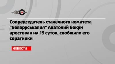 Сопредседатель стачечного комитета «Беларуськалия» Анатолий Бокун арестован на 15 суток, сообщили его соратники