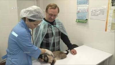 В Уфе открылась уникальная лаборатория для животных