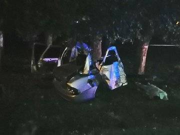 В Башкирии погибли пассажиры машины, влетевшей в дерево