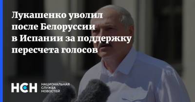 Лукашенко уволил после Белоруссии в Испании за поддержку пересчета голосов