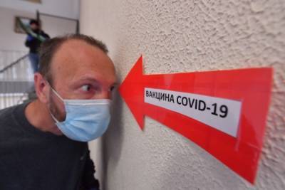 Десятки тысяч погибших: ученые смоделировали развитие эпидемии COVID-19 в России