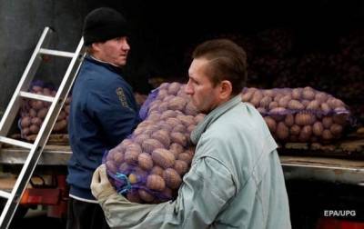 Украина вошла в топ-3 мировых лидеров по картофелю
