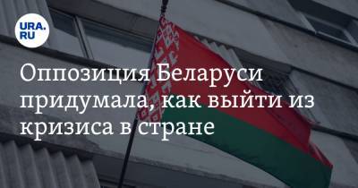 Оппозиция Беларуси придумала, как выйти из кризиса в стране. ВИДЕО