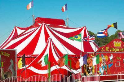 243 года назад в Лондоне открыли первый в мире цирк