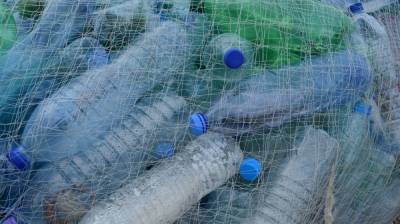 Воронежские учёные придумали новый способ переработки пластика