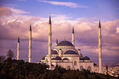 Сотни саратовцев проголосовали против возведения новой мечети
