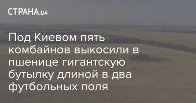 Под Киевом пять комбайнов выкосили в пшенице гигантскую бутылку длиной в два футбольных поля